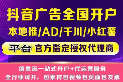 百度推广费用投入与用户转化路径的优化案例