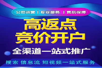 SEM推广代运营案例深度剖析